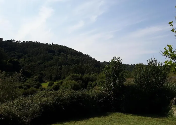 Casas Lucas - Carleo