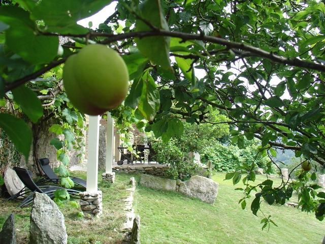 Casas Lucas - Carleo Holiday home *
