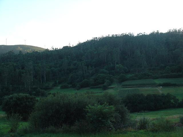 Casas Lucas - Carleo * Outes